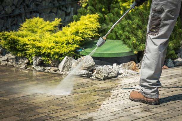 Best Warehouse Cleaning  in Pea Ridge, FL